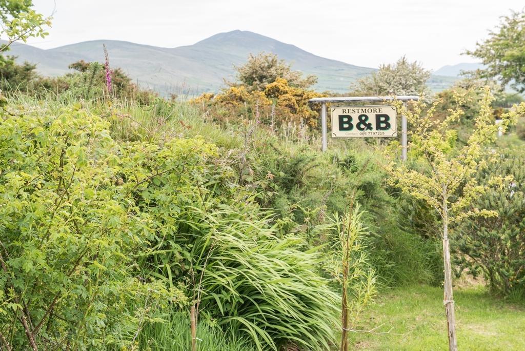 Restmore B&B 安纳斯考尔 外观 照片